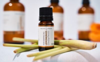 Experience the Essence of Spring with Our Refreshing Essential Oils